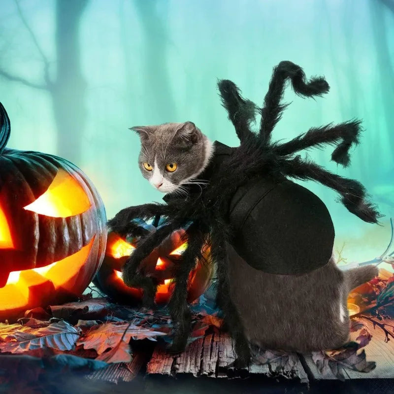 Halloween spider costume, dog and cat costume, role-playing costume, suitable for small dogs and cats, dress up accessories Qme
