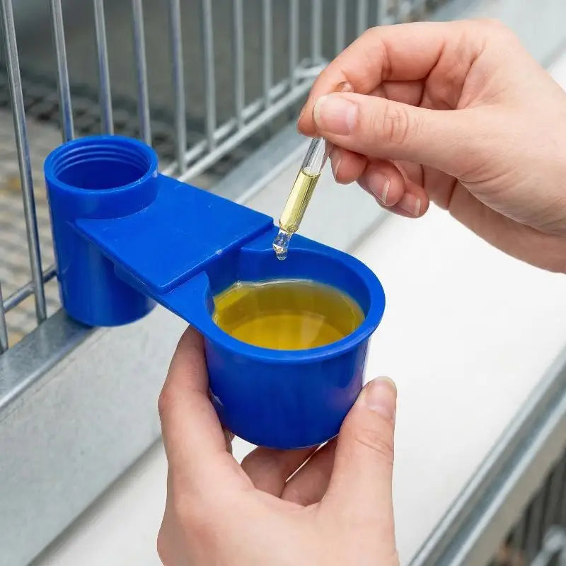 20PCS Pigeons Bird Drinker Feeder Fit For Soda Pop Water Bottle Cup For Chicken Birds Feeder Trough Animal Feeding Accessories Qme