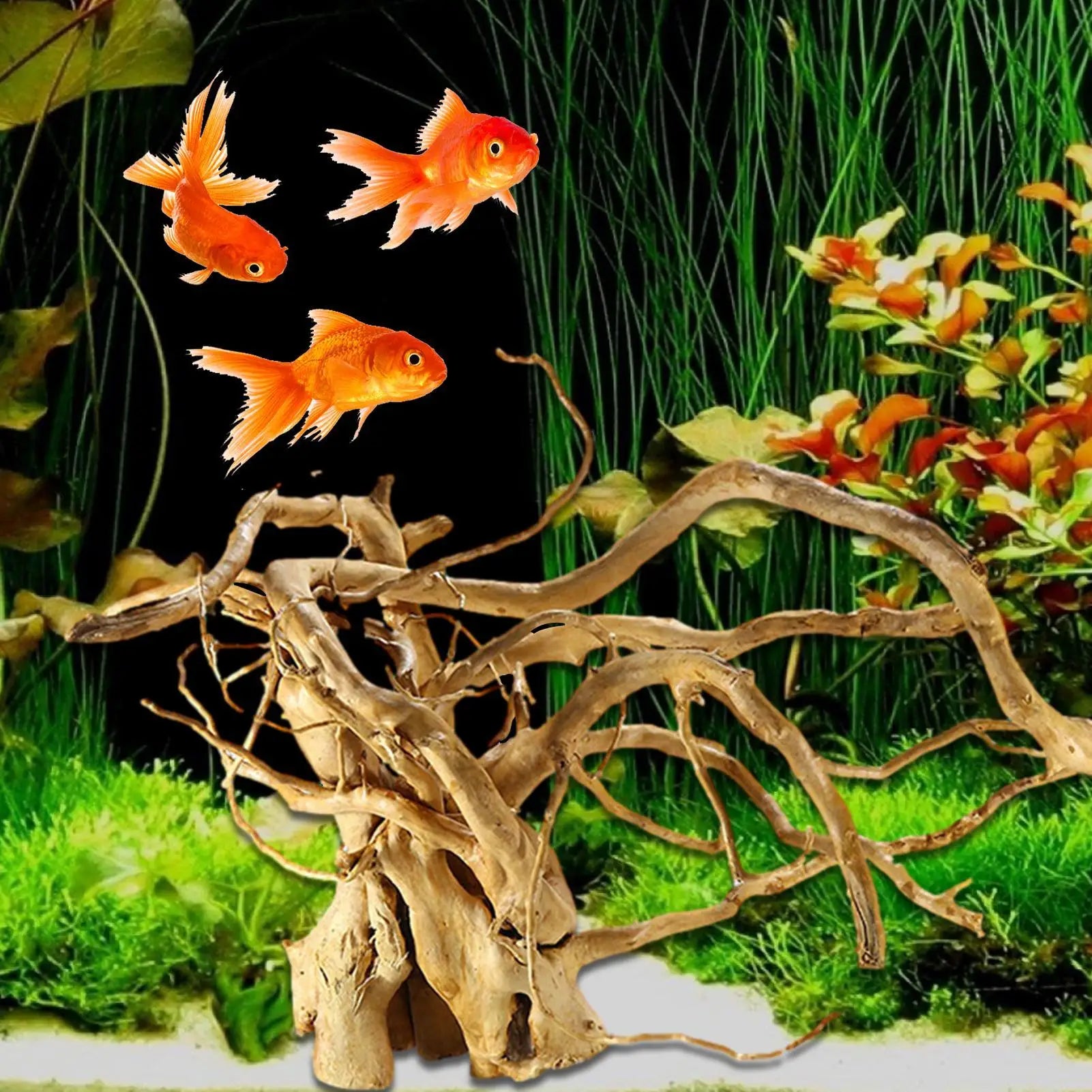 Driftwood Decor Wooden Stick Turtle Tank Decoration Tree Trunk Qme
