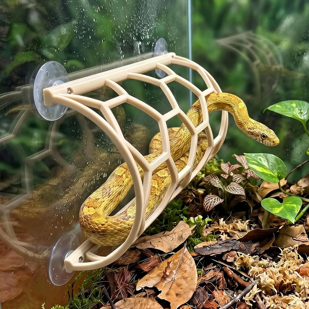 Snake Climbing Accessories Suction Cup Decorative Shelf Enrichment Qme
