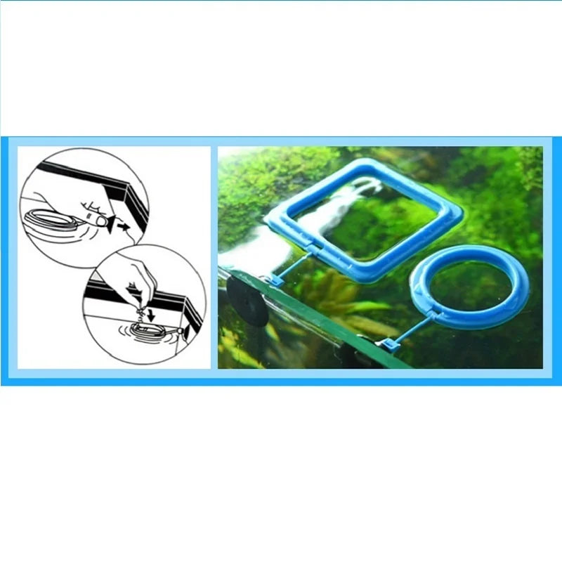 Fish Feeding Ring Feeder Fishing Equipment For Food Flakes Aquarium Mini Accessory Fish Tank Tool Water Koi Tropical Guppy Tetra Qme