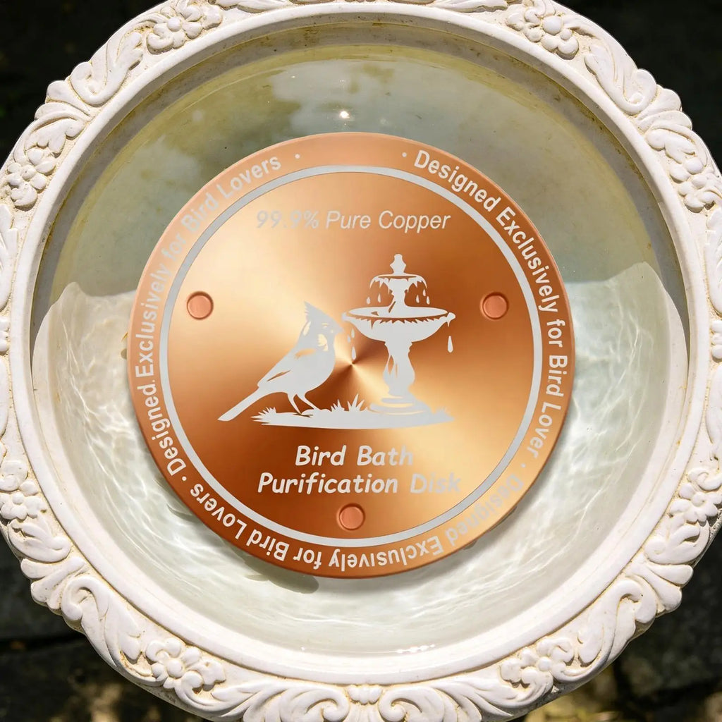 Bird Bath Copper Natural Three-point Support Cleaner Plate Bowls Qme