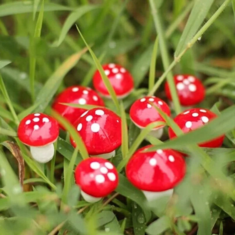 100/50/10PCS Mini Mushroom Fairy Garden Miniatures Resin Moss Terrarium Decor Artificial Plant Stakes DIY Craft Accessories Qme