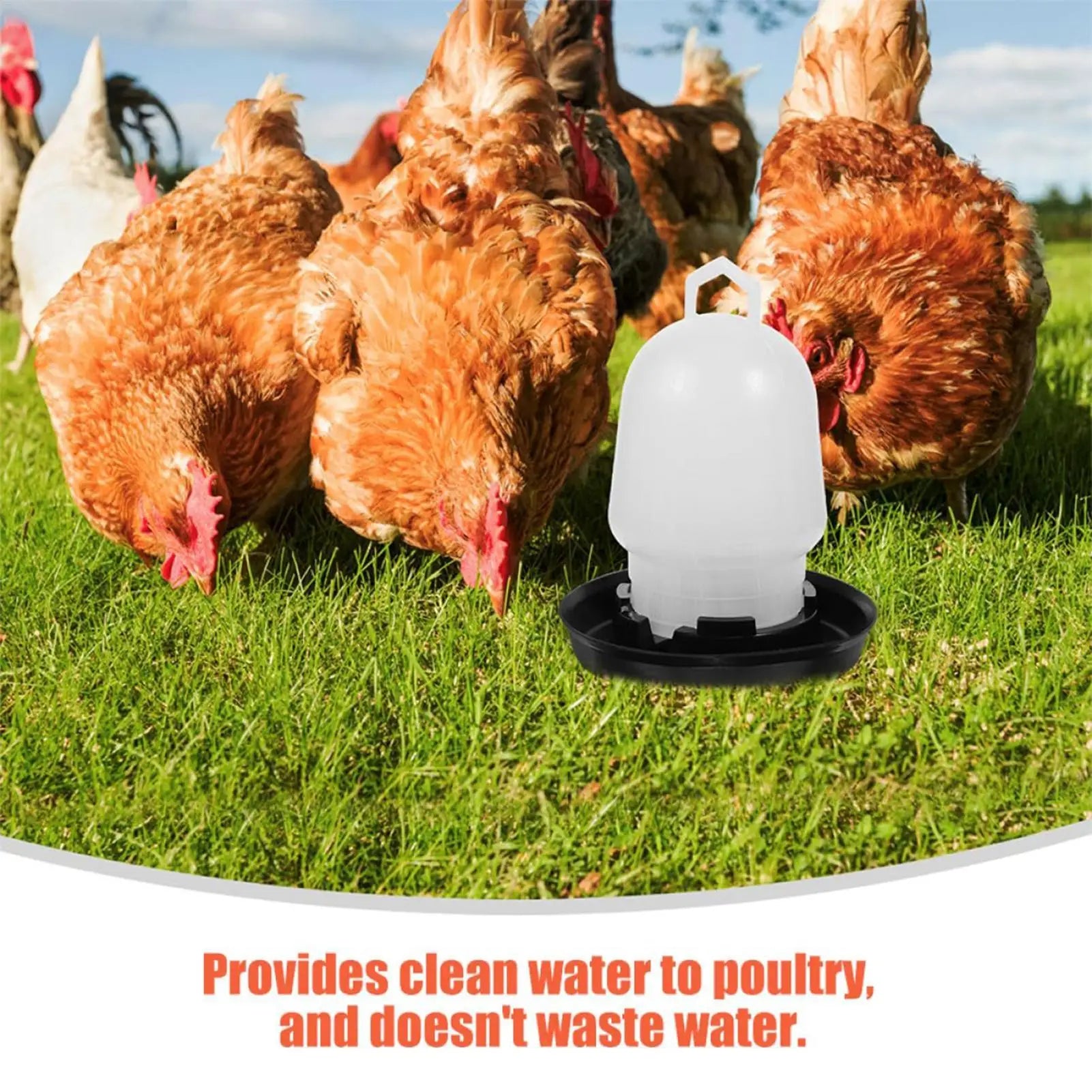 Automatic Chicken Waterer Poultry Drinker Poultry Waterer for Duck Goose Pigeon Quail Livestock Coop Farm Feeding Drinking Qme