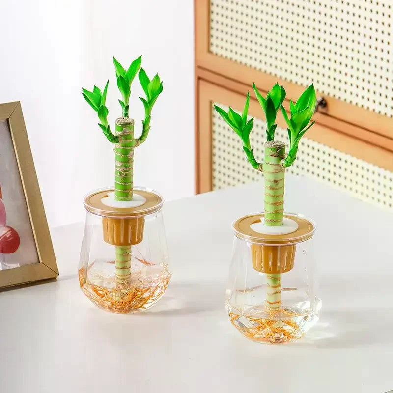 Mini Self Watering Flower Pot Fish Tank Transparent Plastic Plant Pots Self Watering Planter Pot Vase For Home Decoration Qme
