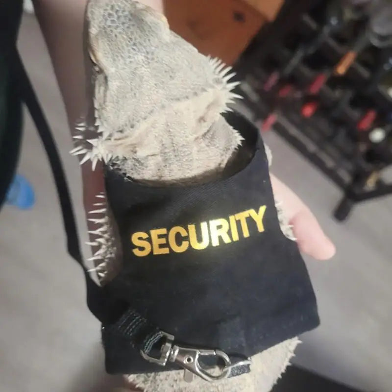 Reptile Lizard Gecko Bearded Dragon Harness and Leash Comfortable Bearded Dragon Clothes for Outdoor Pet Chameleon Supplies Qme