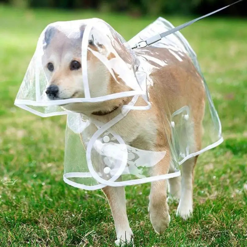Windproof Pet Clothing Large Dog Costume Raincoat Transparent Qme