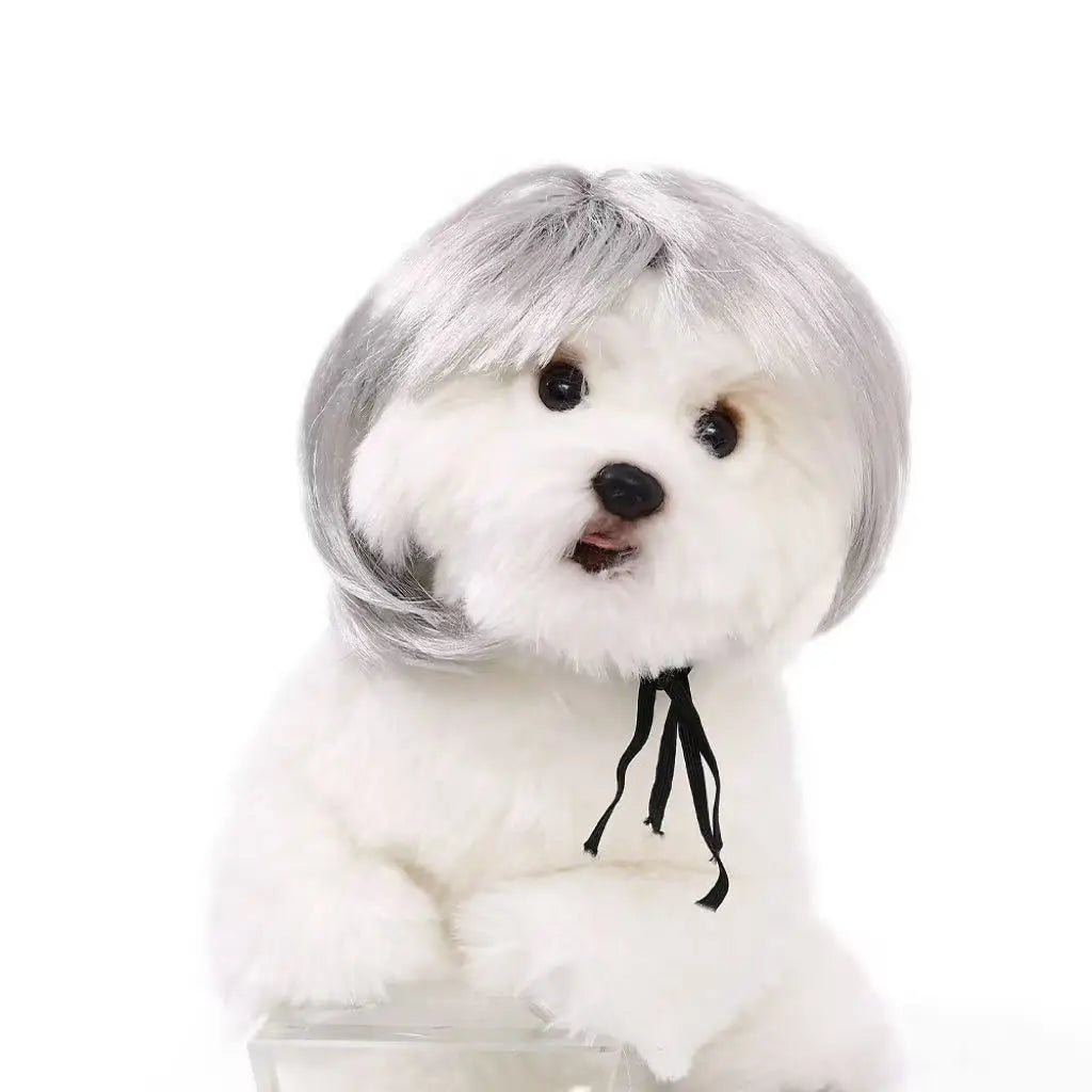 Halloween Pet Wig Fashion Curly Straight Hair Cute Role Play Qme C