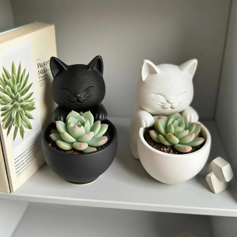 Drainage Holes Uniquely Designed Succulents Small Flowers Cacti Qme