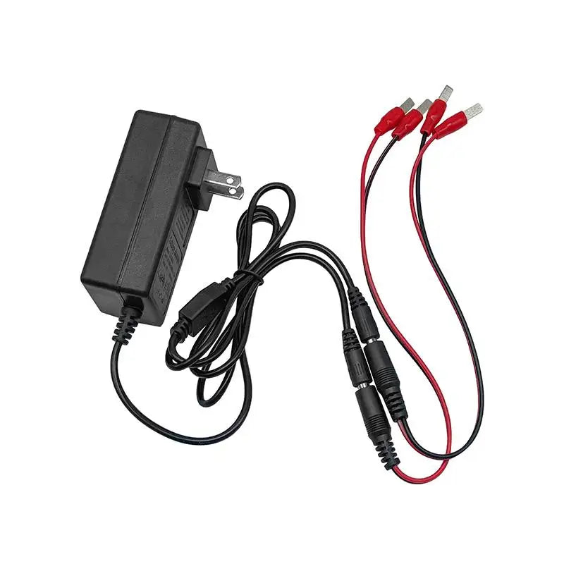 Dual Head Safe Lithium Charger 18V 21V 24V Overload Protection Qme