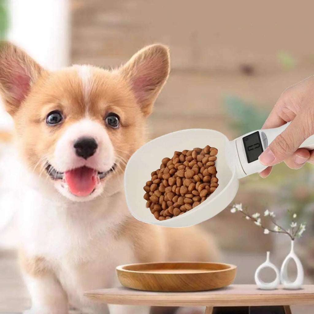 Digital Measuring Spoon 800g/0.1g High Precision Scale Scoop for Weighing with Led Display Detachable Handle Cup Weighing Tool Qme