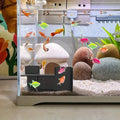 Fish Tunnel 2 Pieces L-Shaped 360 Viewing Corner Decor Aquarium Underground Cave Betta Tunnel For Betta Corydora Catfish Kuhli Qme China Mainland
