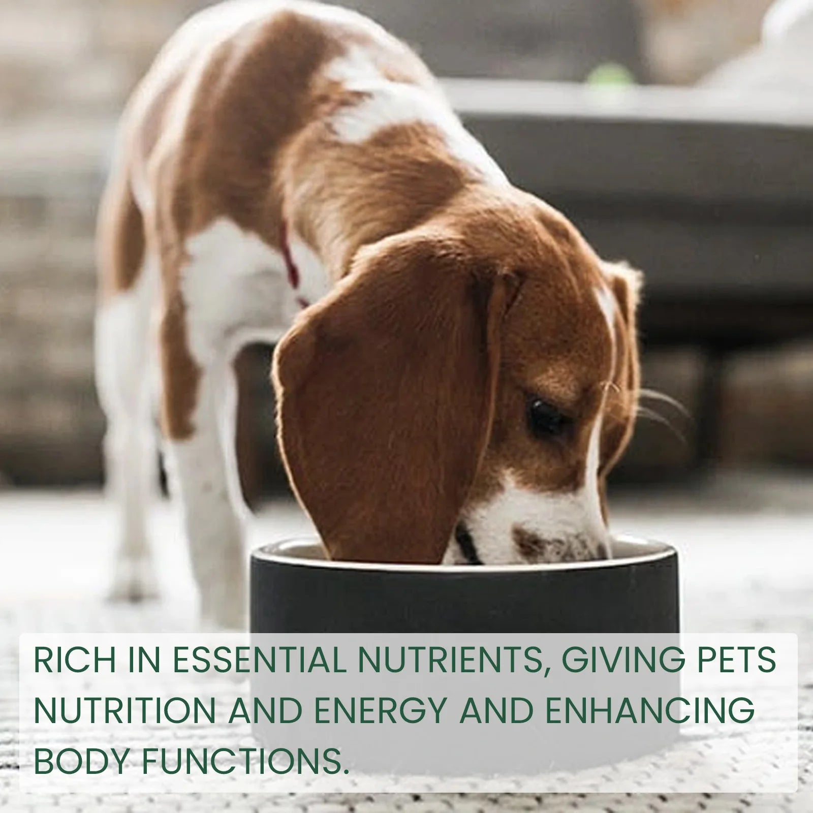 Pet Health Supplements Multi Vitamin Enhance Physical Fitness Protect Dogs Cats Stomach Oral Care Bad Breath Removal Pet Drops Qme