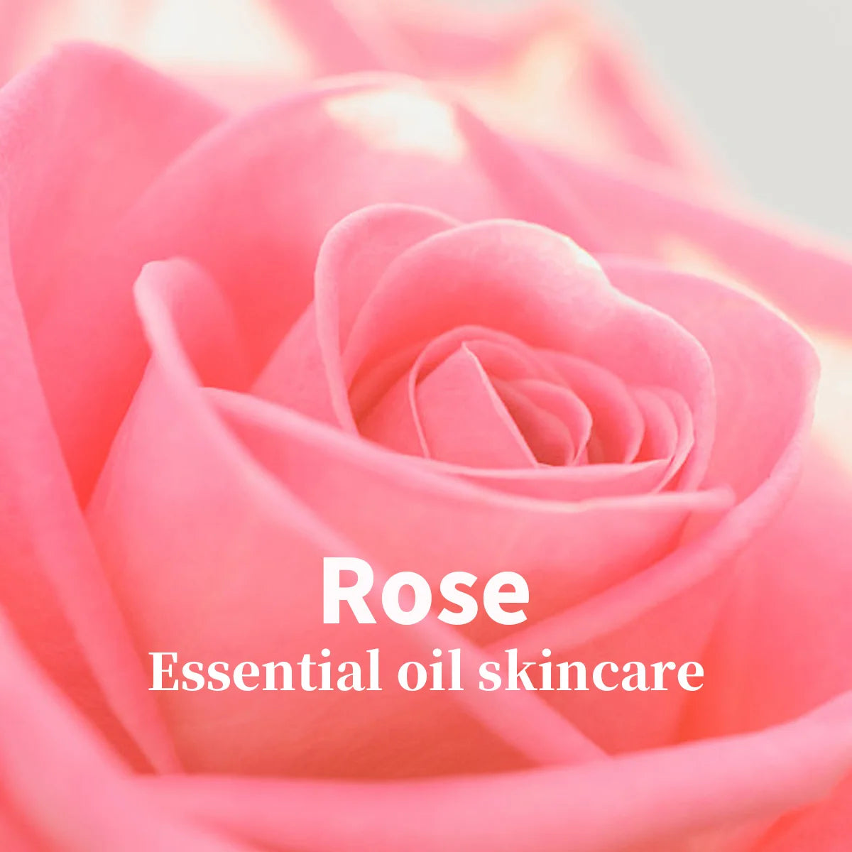 Rose Essential Oil Skincare Cleansing Mousse Deeply Cleanses Controls Qme