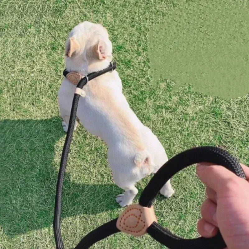 B 1.5M Dog Leash Slip Rope Lead Leash Heavy Duty Braided Rope Adjustable Loop Collar Training Leashes for Medium Large Dogs Qme