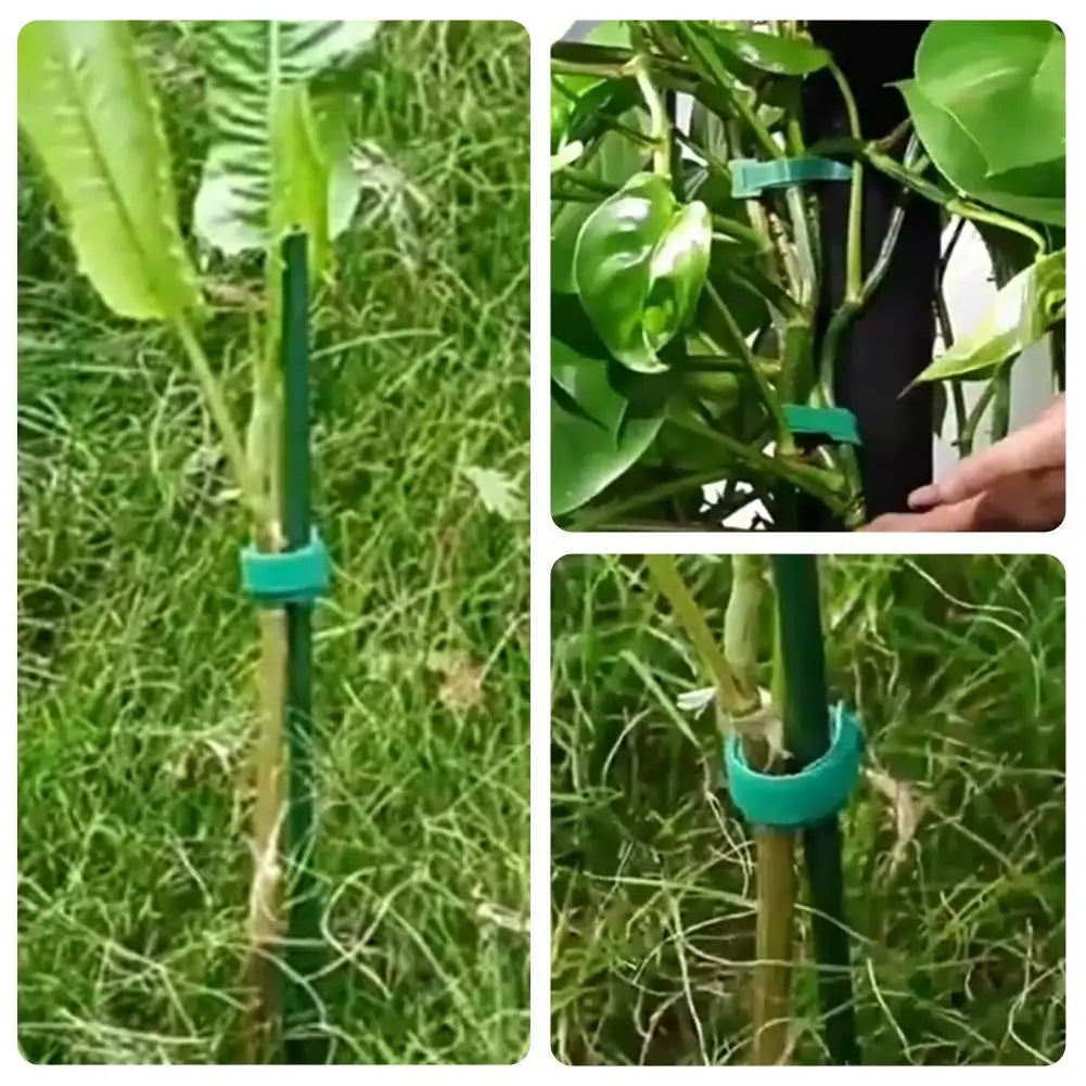 Garden Green Cable Ties Adjustable Nylon Plant Straps Featuring Hook Qme