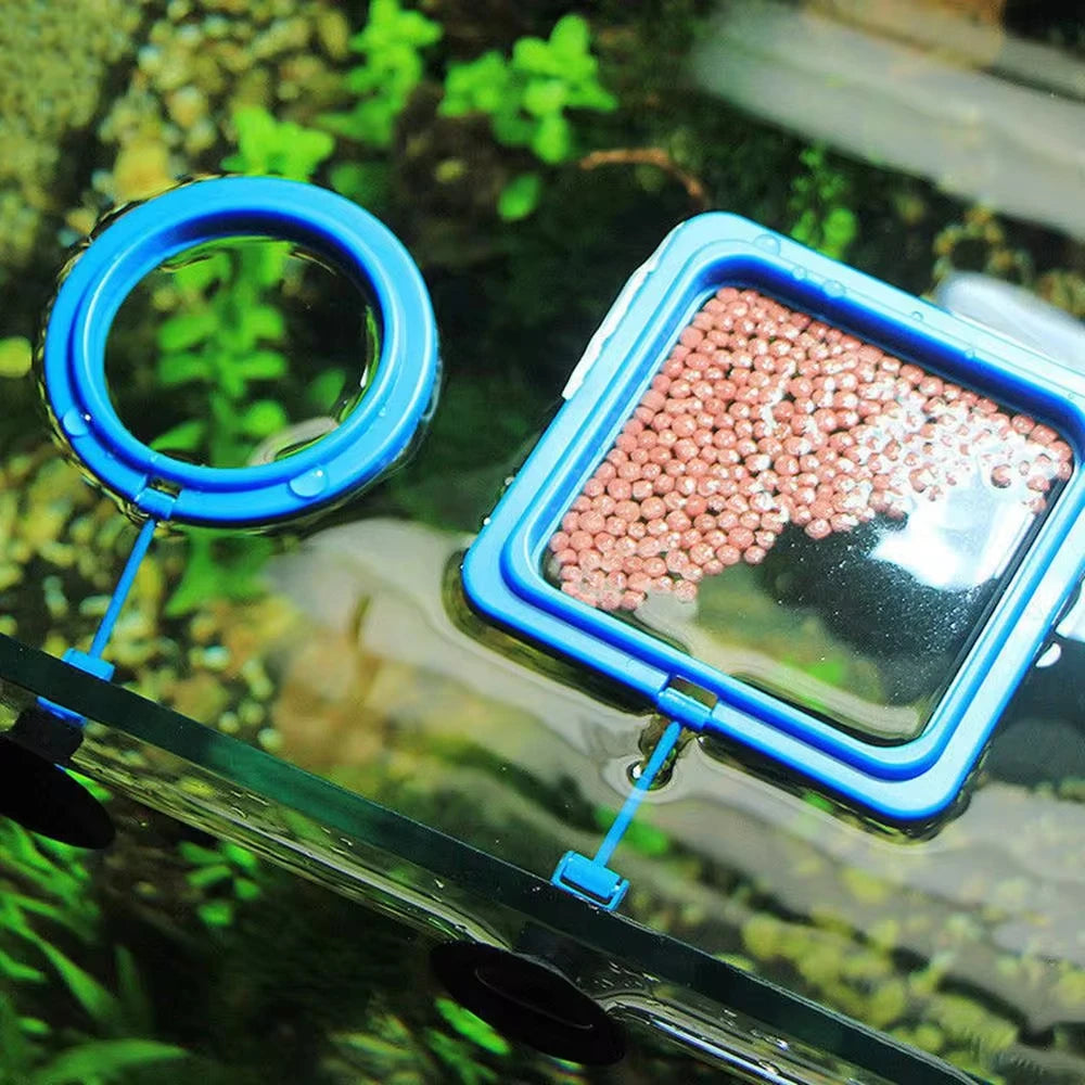 Aquarium Feeding Ring Fish Tank Station Floating Food Tray Feeder Square Circle Accessory Fish Food Feeder Suction Cup Black Qme