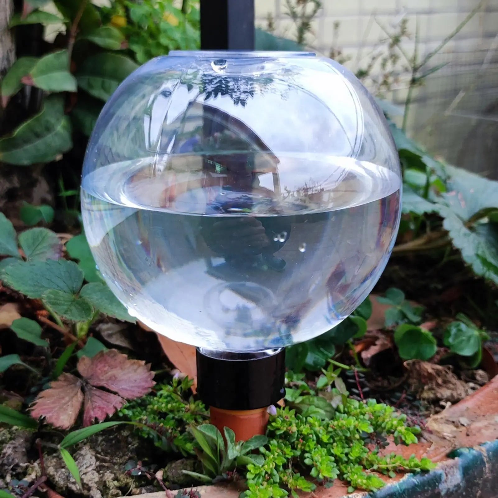 Plant Watering Globes 500ml Automatic Irrigation Dripper Automatic Garden Waterer for Indoor Outdoor Home Workplace Balcony Qme
