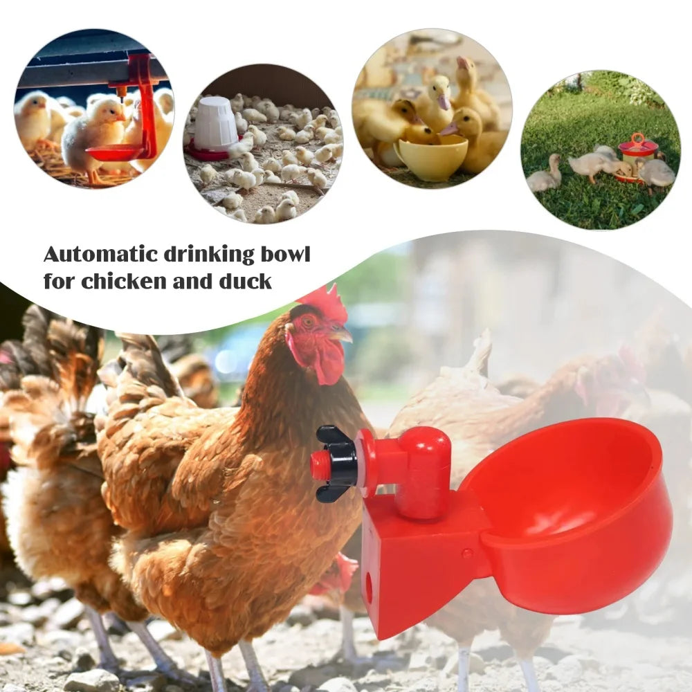 6pcs Poultry Water Dispenser Chicken Goose Universal Automatic Drinker Plastic Water Feeder Quail Drinker Farm Yard Accessories Qme