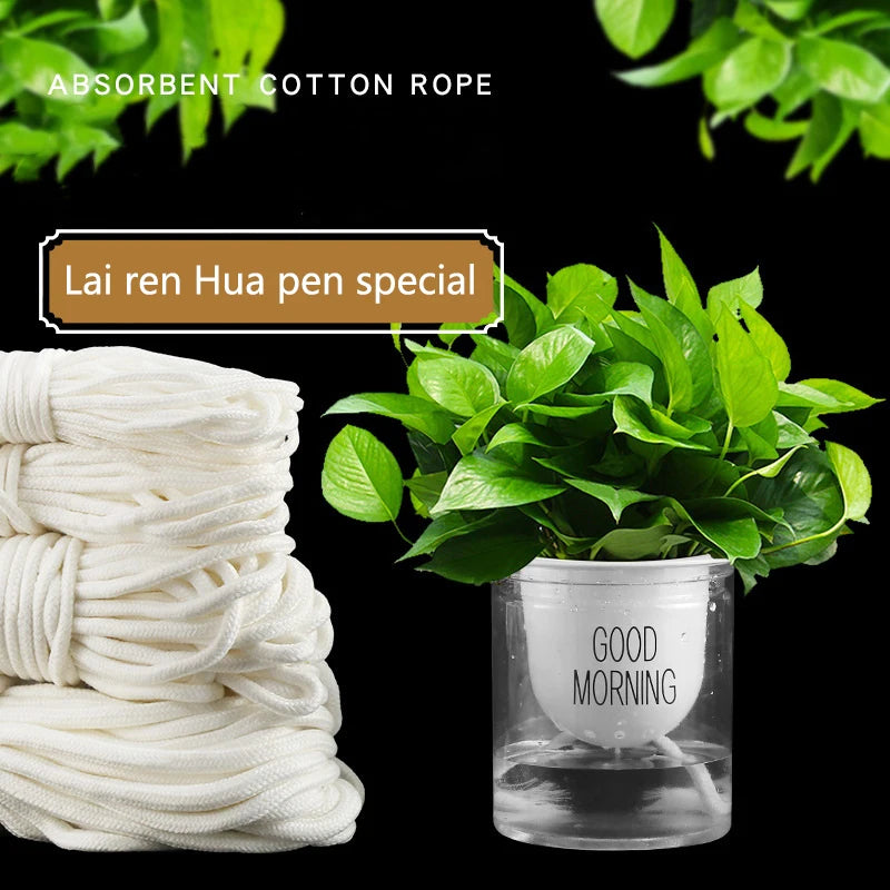Self-watering Irrigation 5 10M Self Watering Wick Cord Cotton Rope Qme