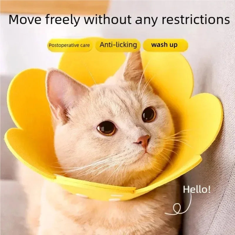 B Soft Adjustable Flower Shaped Pet Recovery Collar, Elizabethan Protective Collar Anti-Bite Healing Aid for Puppy Kitten Qme
