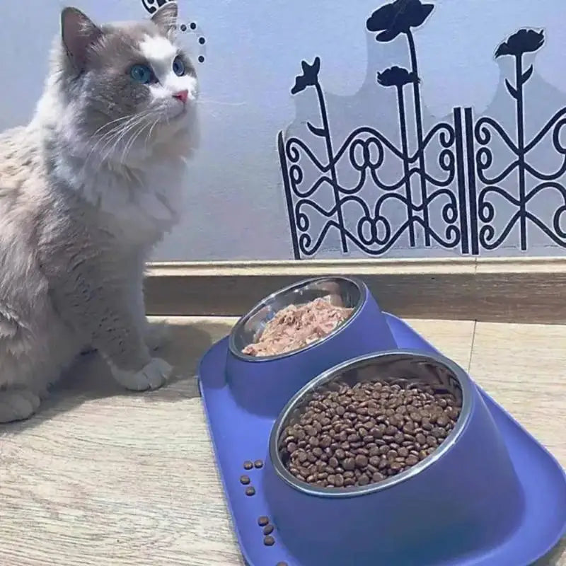 Food Water Bowls Multifunctional Protect Cervical Spine Stainless Qme