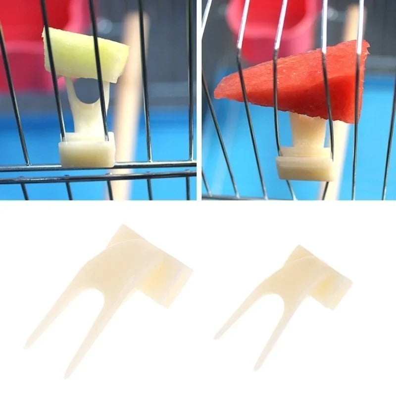 4 Bird Feeding Fruit Forks Pet Supplies Plastic Food Rack Feeder Qme