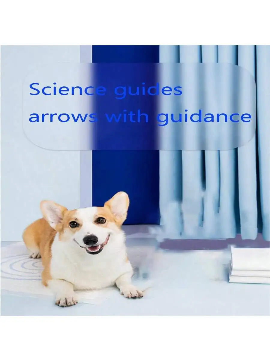 Highly Absorbent Pet Diaper Pads Suitable Dogs Disposable Leak Proof Qme