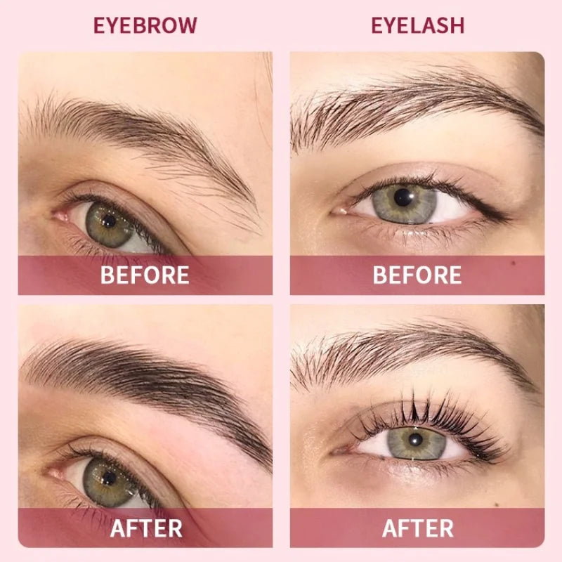 Professional 2 in 1 Eyelash and Eyebrow Tinting Kit Beauty Makeup Tool for Eyebrow and Eyelash Coloring, Suitable for Daily Qme