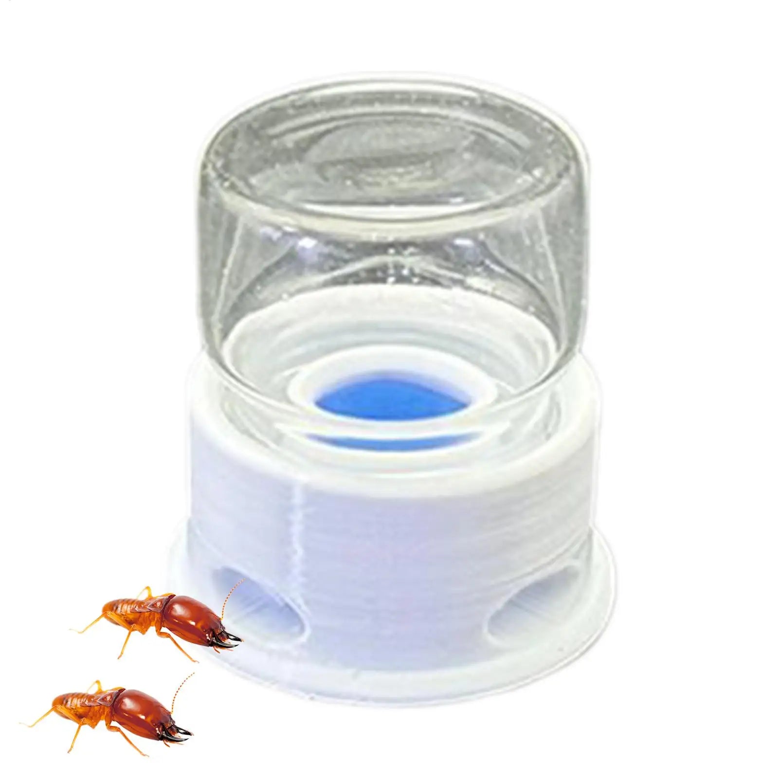 Ant Liquid Feeder Anti-Drowning Transparent Leakproof Bee Water Station for Home Classroom Farm Outdoors Qme