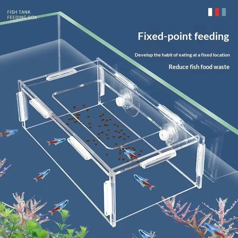 Fixed-point Fish Food Feeder Aquatic Aquarium Accessories Hanging Qme