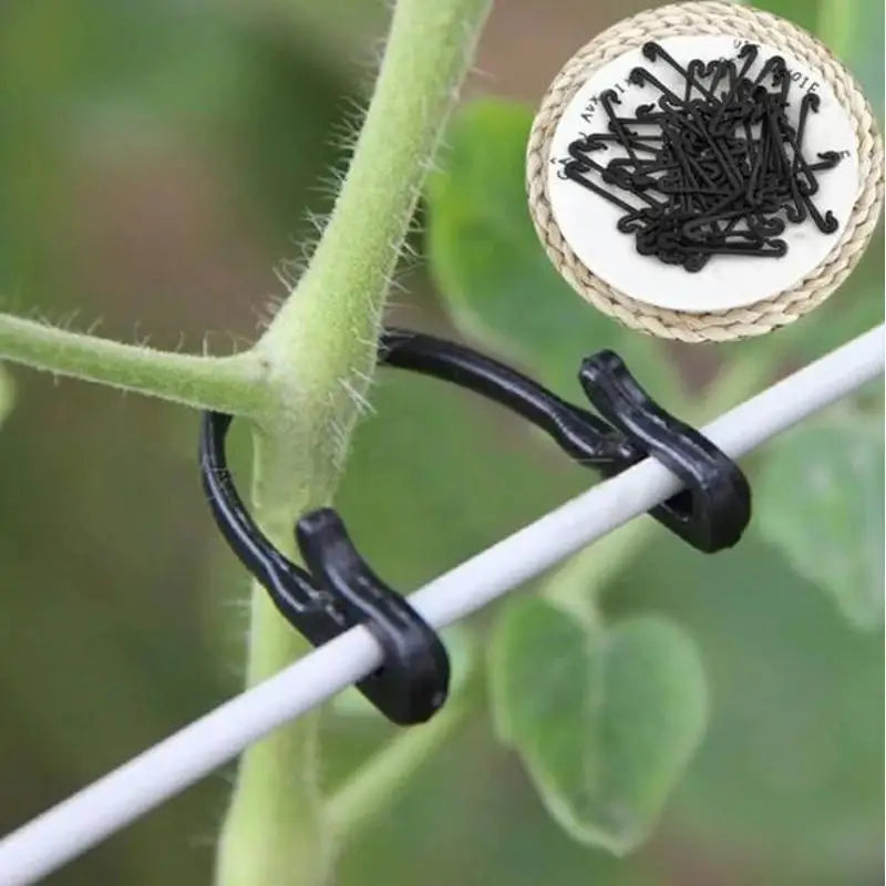 Garden Plant Ties Grapes Vine Binding Tape Adjustable Support Clips Qme