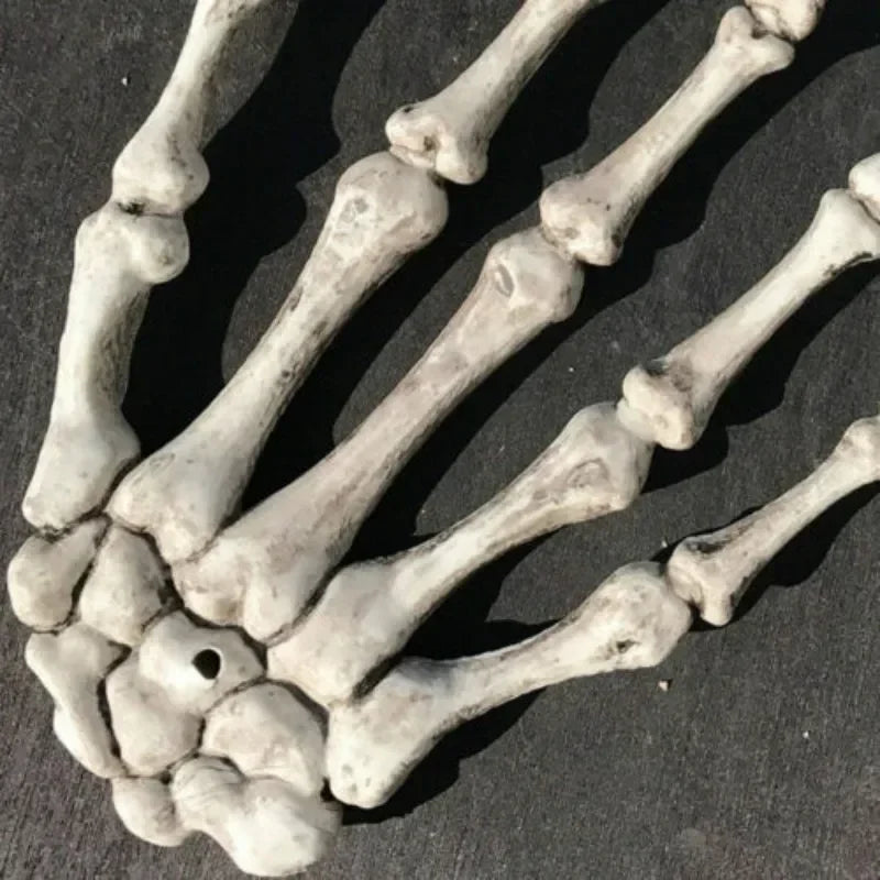 Realistic Fake Skeleton Hand Halloween Scary Skull Decors Zombie Party Haunted House Halloween Terror Plastic Decoration Props Qme