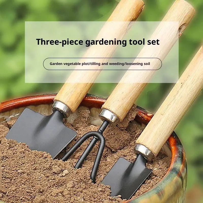 Garden Plants Flower Pot Cactus Vegetables Digging Weeding Indoor Qme