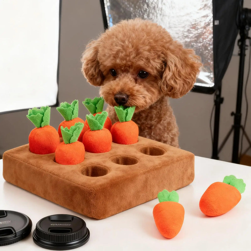 Snuffle Mat for Puppies Funny Enrichment Interactive Large Dog Enrichment Toys Snuffle Mat for Small Medium Large Senior Kitten Qme