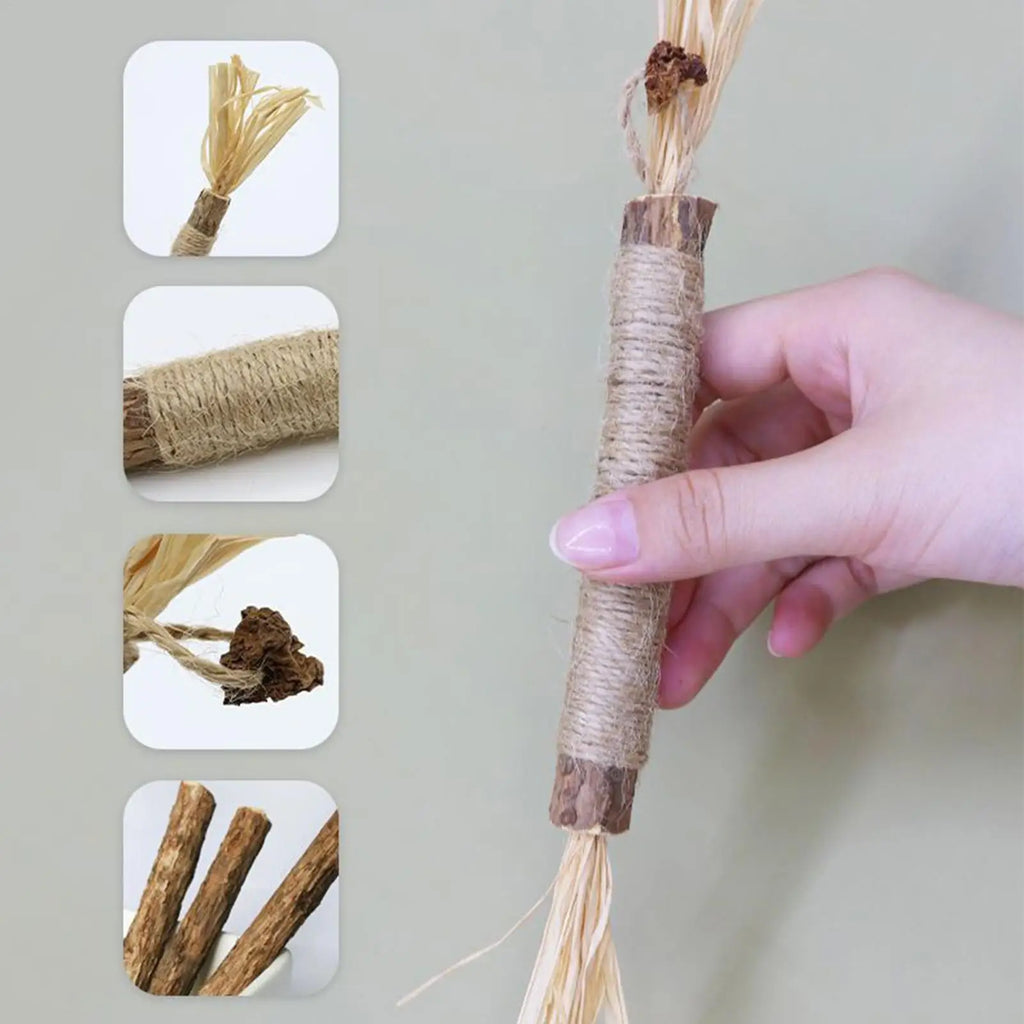 Cat Silvervine Sticks Edible Lick Catnip Supports Toys Kittens Chew Qme China Mainland