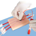 Medical Student Nurse Blood Collection Puncture Training Pad Model Qme Default Title