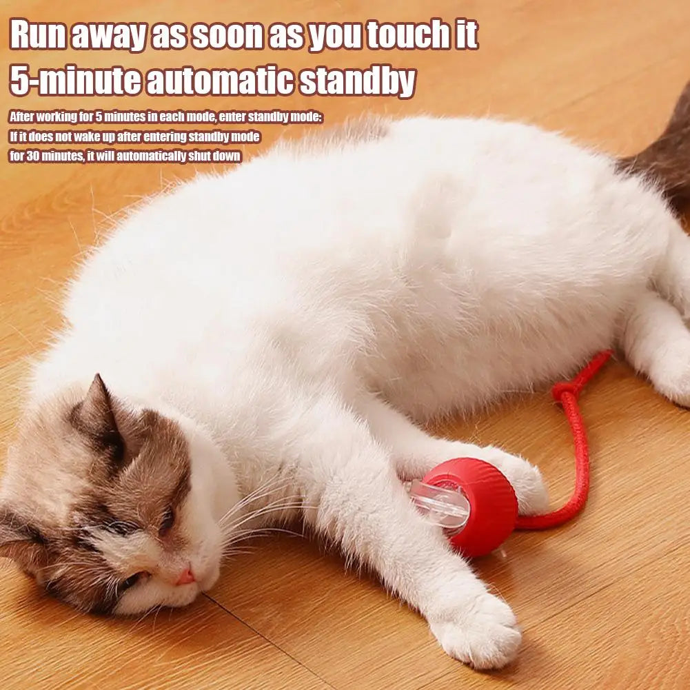 Pet Gravity Intelligent Rolling Ball Cat Toy Ball Relieves Boredom Self Fun Teasing Cat Ball for Interaction Indoor Playing Qme