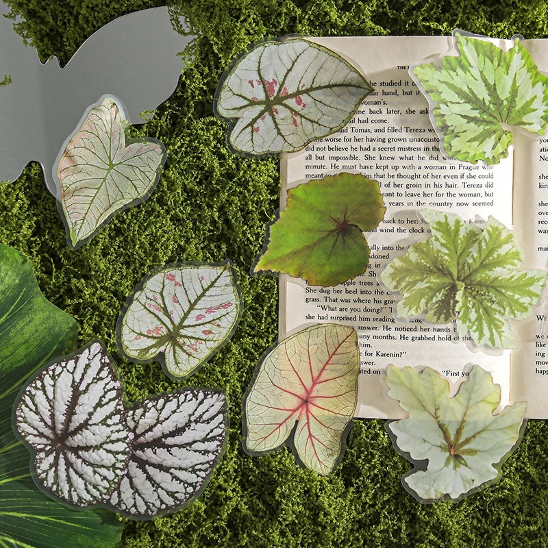 20 pcs Plants Flowers Leaf PET Sticker pack Hand Account Collage Junk Journal Planner Scrapbooking Decor Stationery Stickers Qme