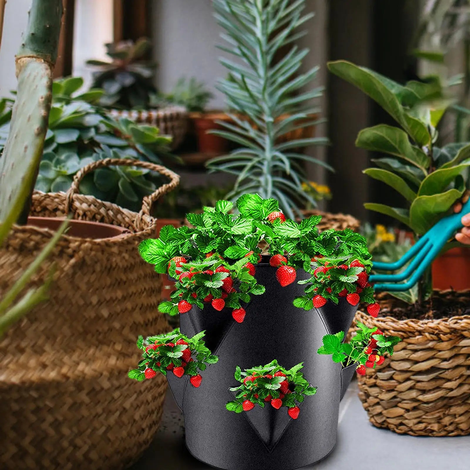 Strawberry Pots And Planters Strawberry Garden Planting Pots With 6 Side Grow Pockets Breathable 7 Gallon Portable For Courtyard Qme