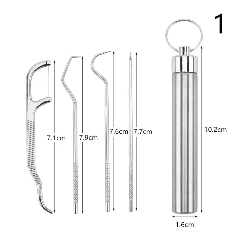 Metal Toothpicks Tooth Cleaningtool Storage Tube Stainless Steel Qme 1