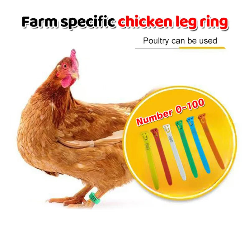 50 Reusable Flexible Retractable Foot Straps Poultry Marking Cards Qme