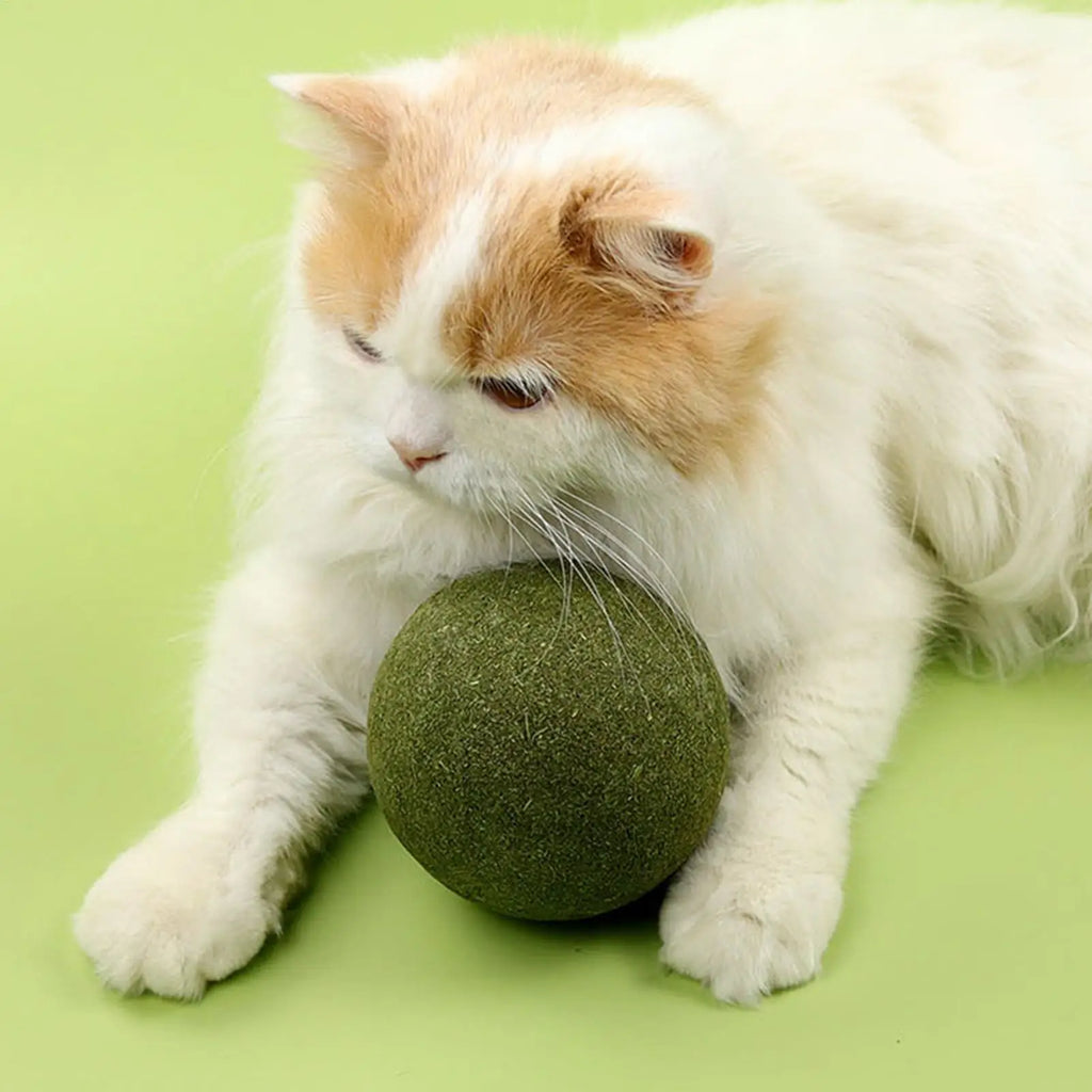 1pcLarge Catnip Balls 10cm Cat Mint Ball Catnip Toys Healthy Lickable Natural Catnip Ball Super Large Self-Relieving Cat Treats Qme