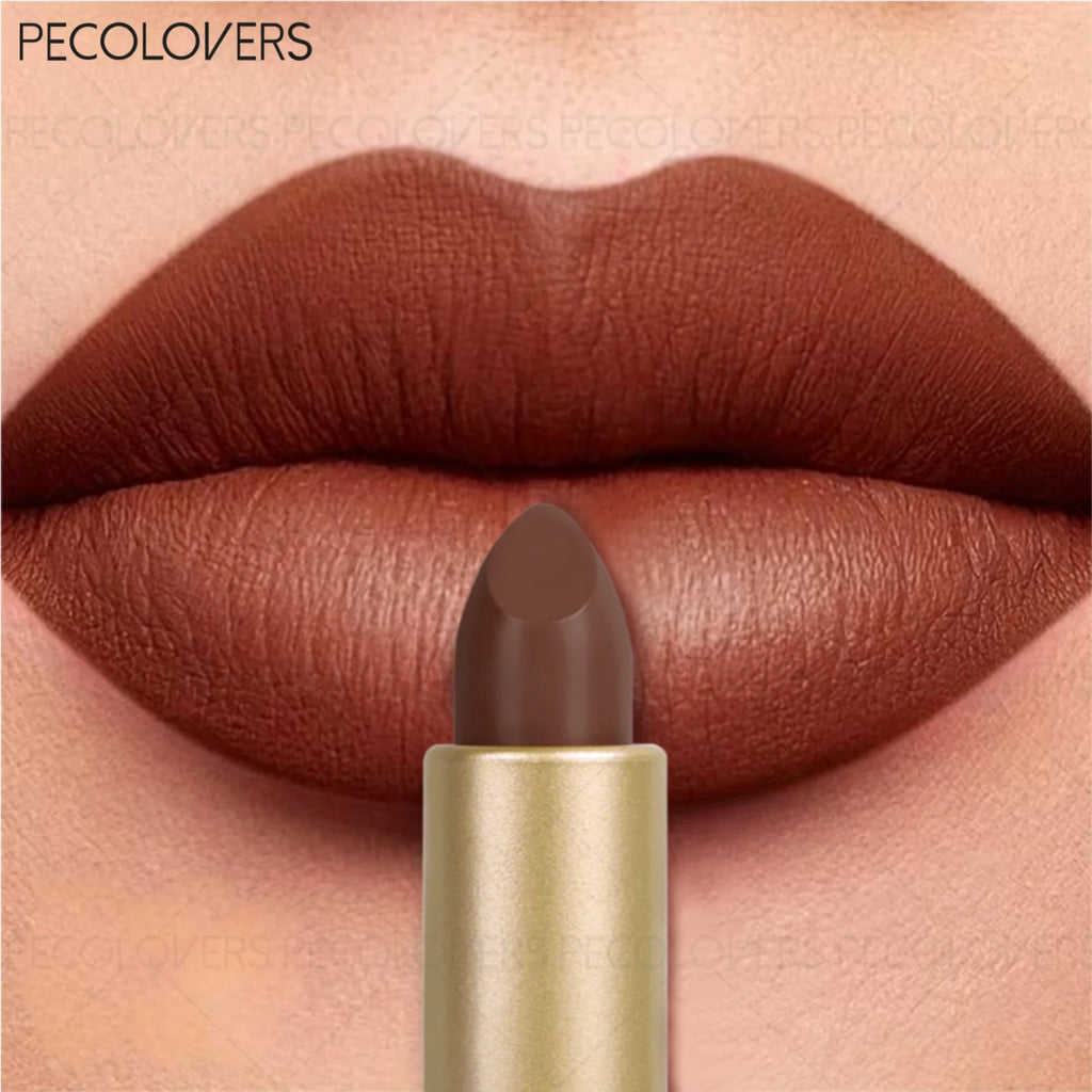 Elegant Lip Makeup Look Reddish Brown Lipstick Velvet Matte Texture Qme