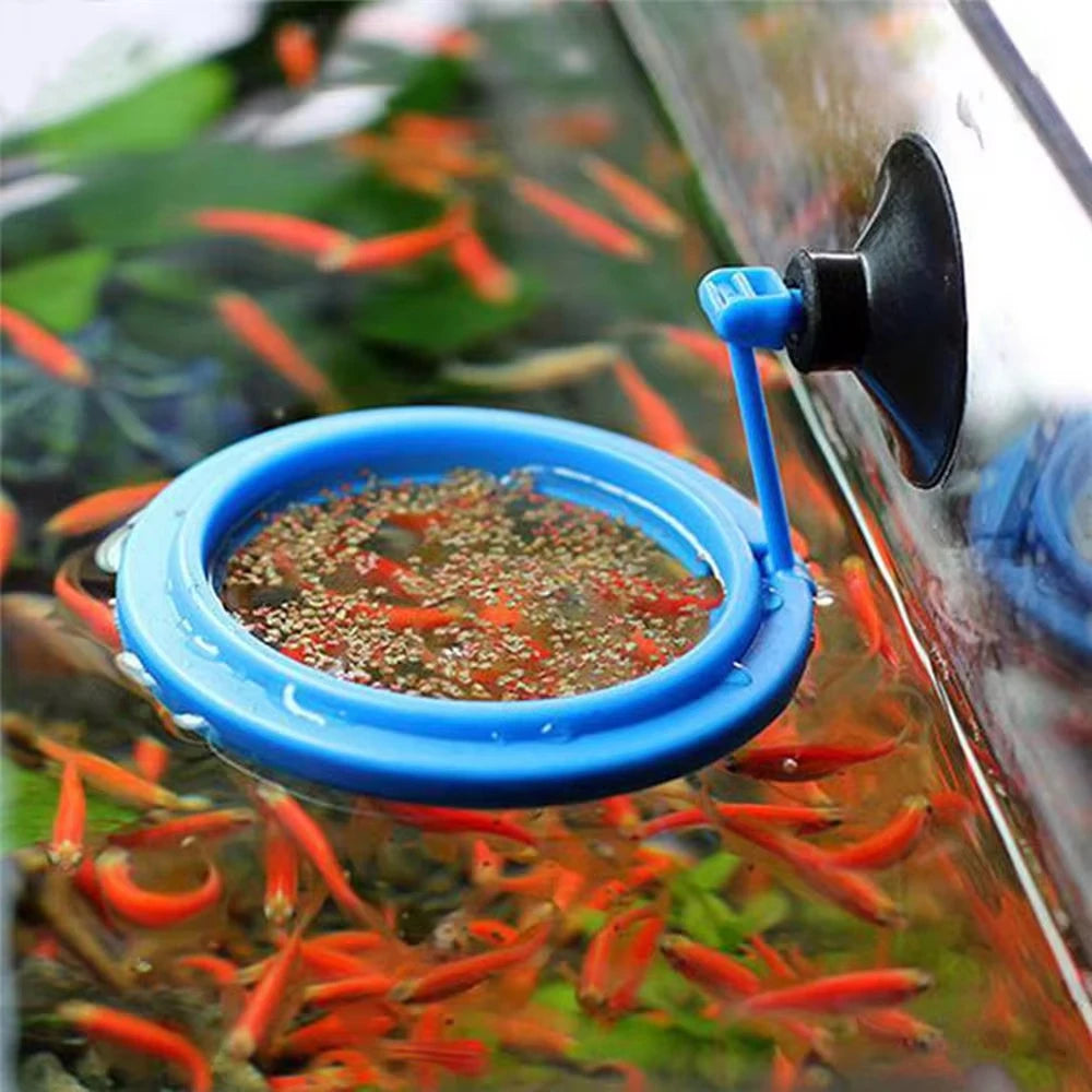 Aquarium Feeding Ring Fish Tank Station Floating Food Tray Feeder Square Circle Accessory Fish Food Feeder Suction Cup Black Qme