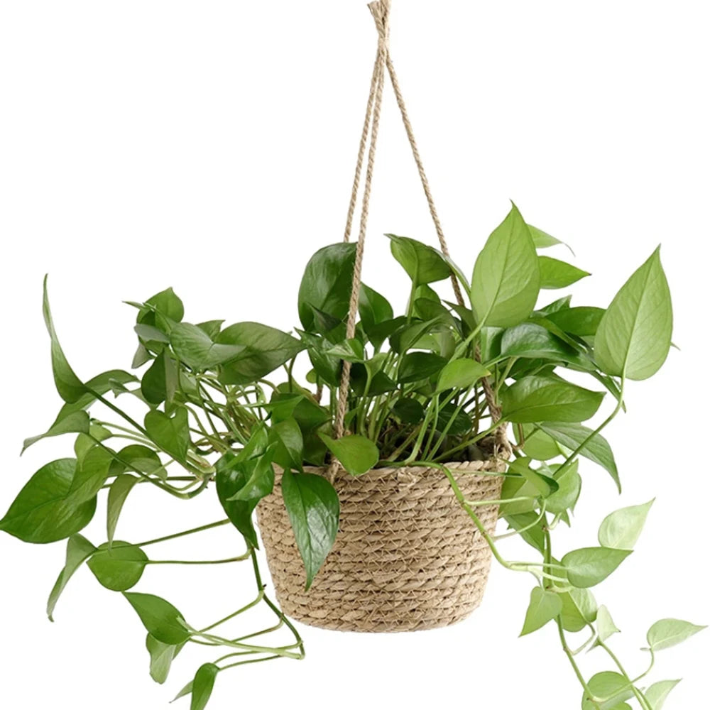 1PC Straw Hanging Basket Planter Twine Woven Flower Basket Rattan Basket Hanging Orchid Pot Pot Hanging Basin Qme