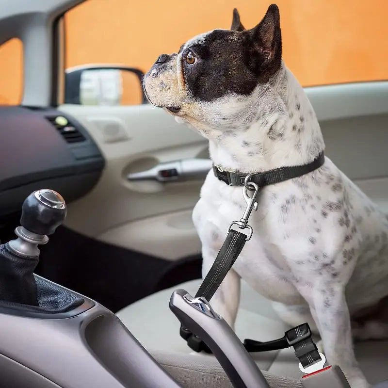 Bungee Fabric Belt Safe Secure Car Travel Reflective Dog Seat Qme