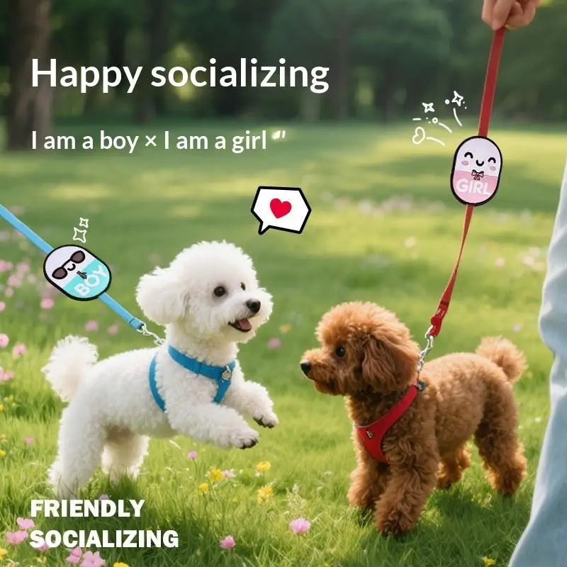 Anti Feeding Warning Sign Pet Gatherings Outingspet Dog Social Qme