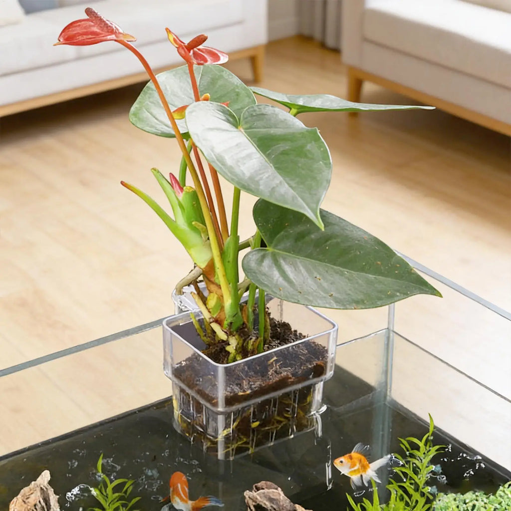 1pcs Plant Holder For Fish Tank Transparent Hangable Pot Cup Aquatic Plant Holder For Fish Tank Hydroponic System Indoor Home Qme