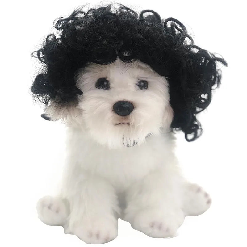 Halloween Pet Wig Fashion Curly Straight Hair Cute Role Play Qme